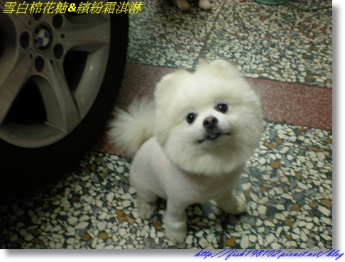 DSCN9903.JPG DSCN9903.JPG