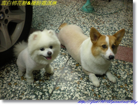 DSCN9909.JPG DSCN9909.JPG