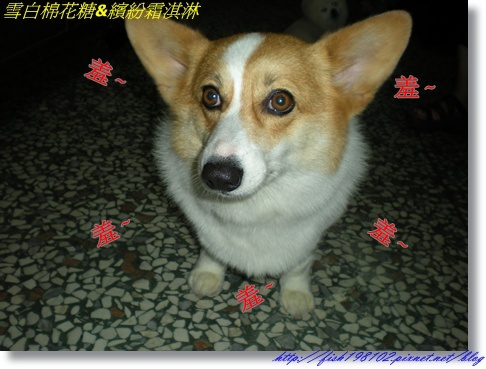 DSCN9896.JPG DSCN9896.JPG