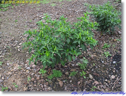 IMG_1720.JPG IMG_1720.JPG