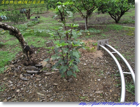 IMG_1722.JPG IMG_1722.JPG