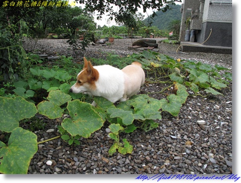 IMG_1737.JPG IMG_1737.JPG