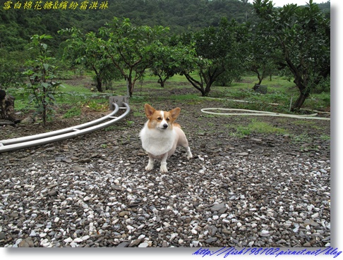 IMG_1741.JPG IMG_1741.JPG