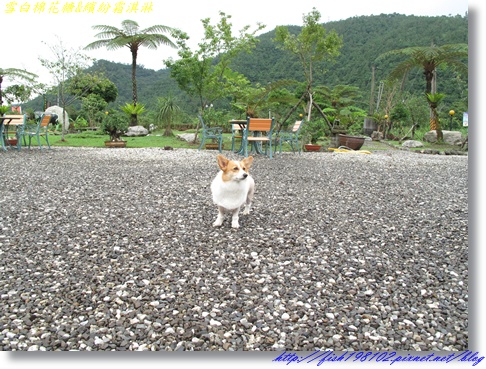 IMG_1764.JPG IMG_1764.JPG