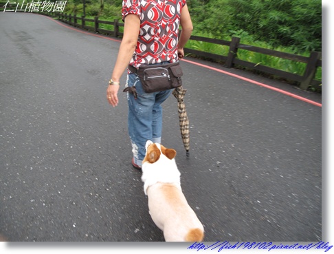 IMG_1773.JPG IMG_1773.JPG