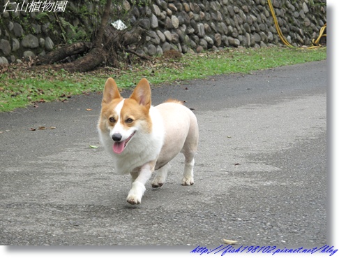 IMG_1868.JPG IMG_1868.JPG