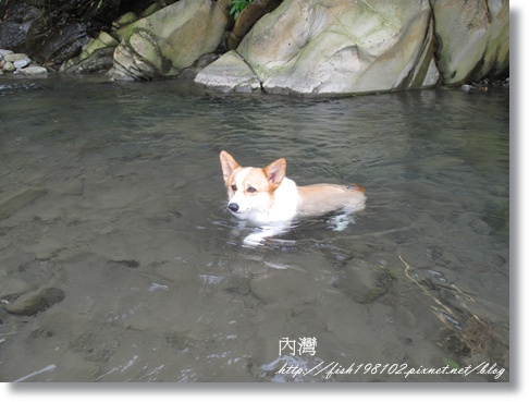 IMG_1899.JPG IMG_1899.JPG