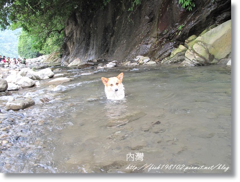 IMG_1933.JPG IMG_1933.JPG