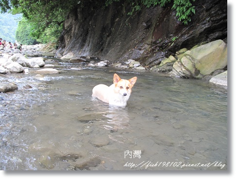 IMG_1940.JPG IMG_1940.JPG