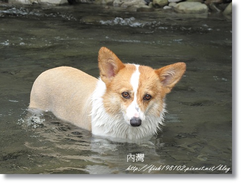 IMG_1945.JPG IMG_1945.JPG