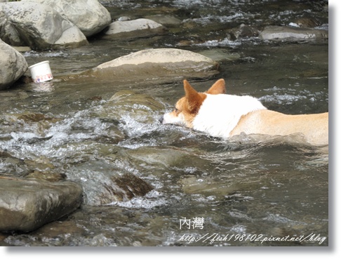 IMG_1949.JPG IMG_1949.JPG