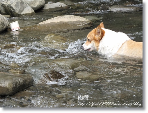 IMG_1950.JPG IMG_1950.JPG