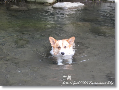 IMG_1952.JPG IMG_1952.JPG