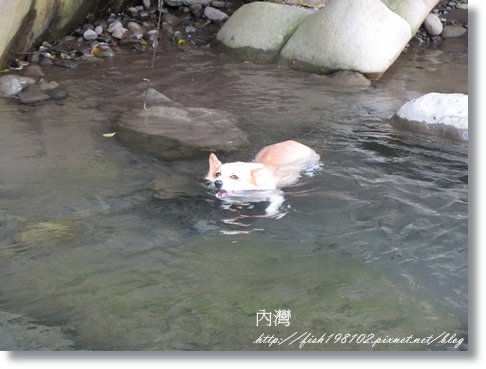 IMG_1953.JPG IMG_1953.JPG