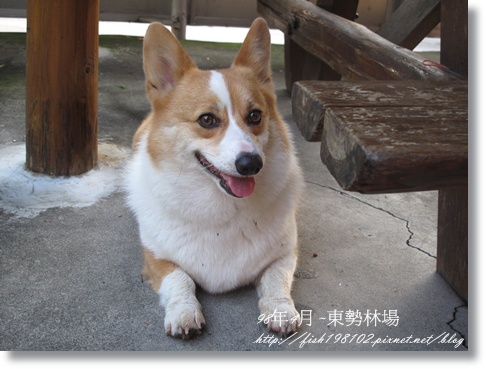 IMG_4113.JPG IMG_4113.JPG