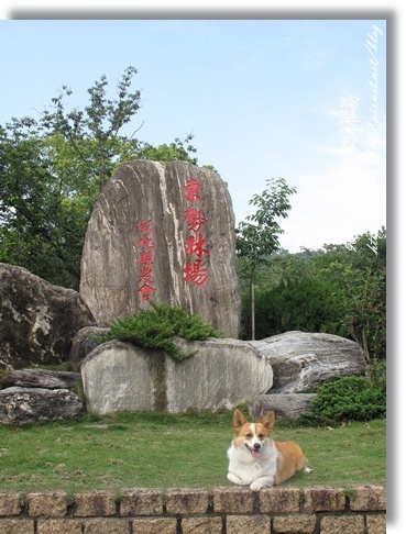 IMG_4080.JPG IMG_4080.JPG