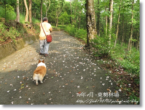 IMG_4095.JPG IMG_4095.JPG