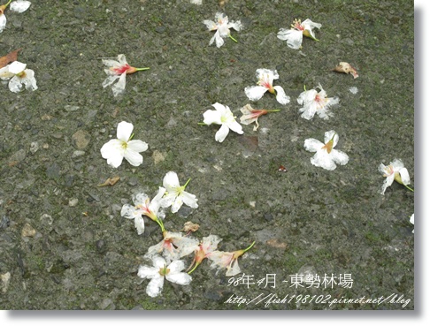 IMG_4098.JPG IMG_4098.JPG