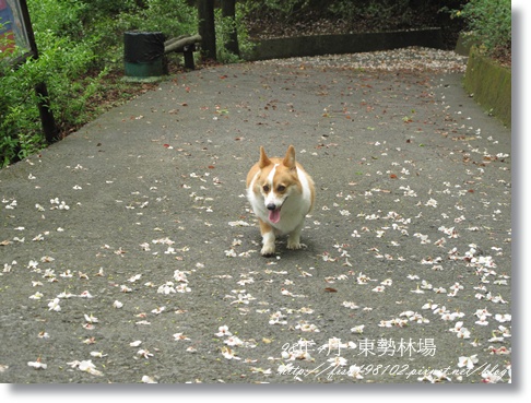 IMG_4100.JPG IMG_4100.JPG