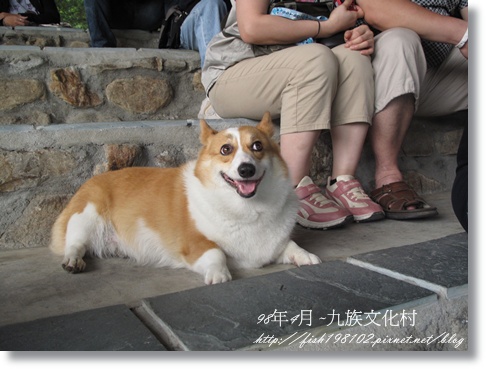 IMG_4141.JPG IMG_4141.JPG