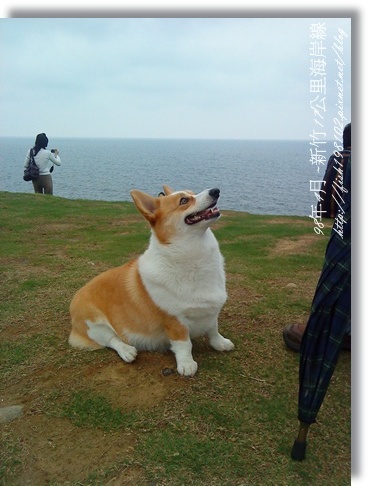 DSC00058.JPG DSC00058.JPG