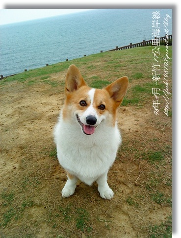 DSC00061.JPG DSC00061.JPG