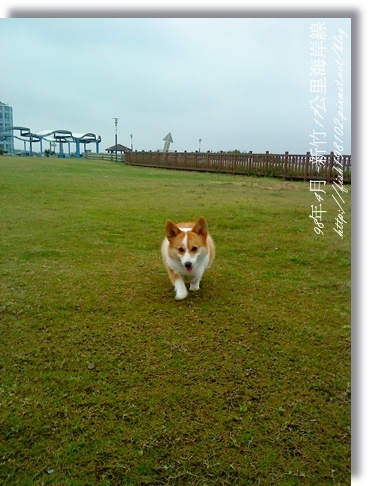 DSC00065.JPG DSC00065.JPG