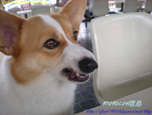 DSCN8604.JPG DSCN8604.JPG