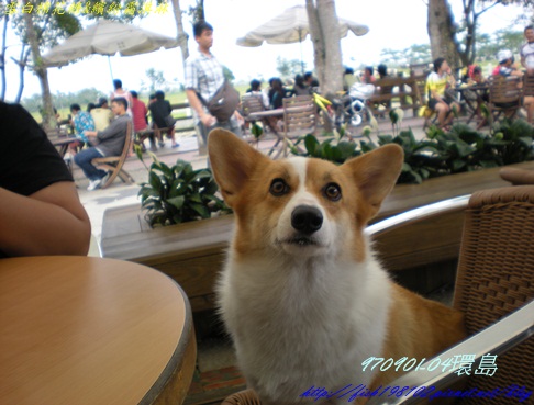 DSCN8655.JPG DSCN8655.JPG