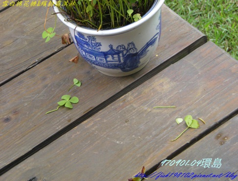 DSCN8698.JPG DSCN8698.JPG