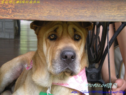 DSCN8728.JPG DSCN8728.JPG