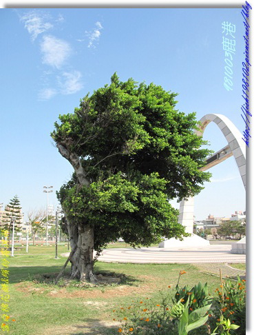 IMG_0288.jpg IMG_0288.jpg