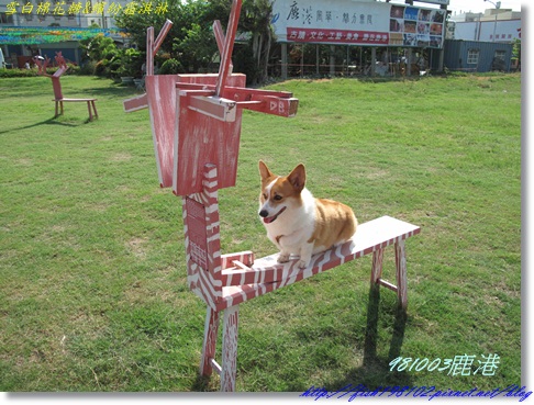 IMG_0301.JPG IMG_0301.JPG