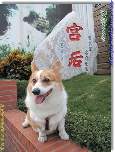 IMG_0312.JPG IMG_0312.JPG