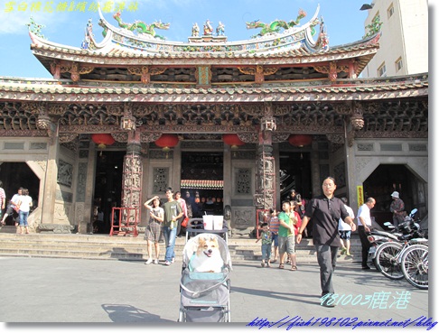 IMG_0330.JPG IMG_0330.JPG