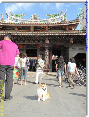 IMG_0331.jpg IMG_0331.jpg