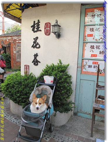 IMG_0341.jpg IMG_0341.jpg