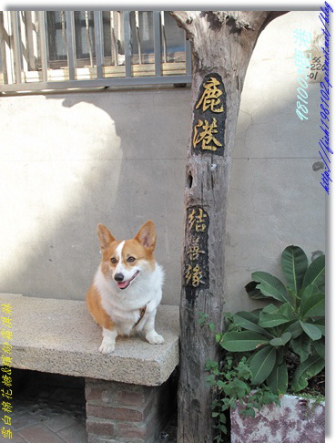 IMG_0351.jpg IMG_0351.jpg