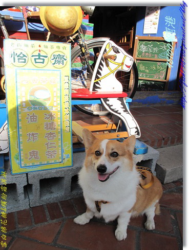 IMG_0365.jpg IMG_0365.jpg