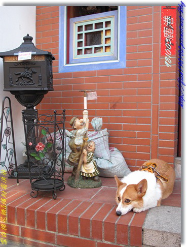 IMG_0369.jpg IMG_0369.jpg