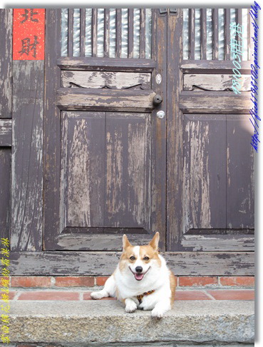 IMG_0371.jpg IMG_0371.jpg