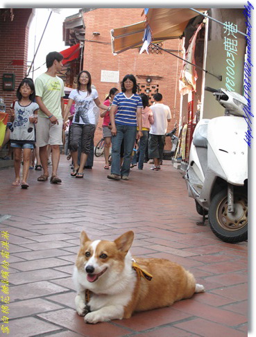 IMG_0374.jpg IMG_0374.jpg