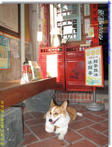 IMG_0377.jpg IMG_0377.jpg