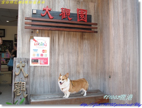 IMG_0378.JPG IMG_0378.JPG