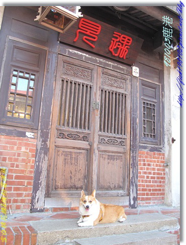 IMG_0384.jpg IMG_0384.jpg