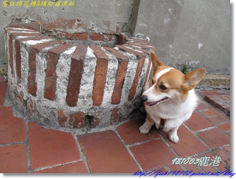 IMG_0388.JPG IMG_0388.JPG