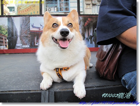 IMG_0405.JPG IMG_0405.JPG