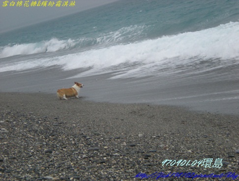 DSCN8887.JPG DSCN8887.JPG