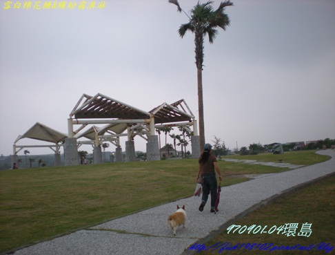 DSCN8911.JPG DSCN8911.JPG