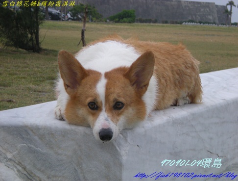 DSCN8931.JPG DSCN8931.JPG